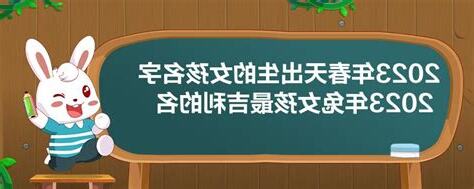 兔 名字 女